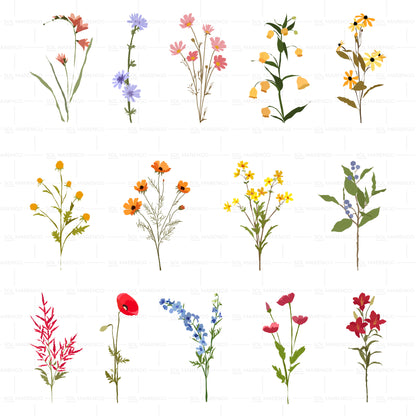 Flores silvestres | Vector, PNG & SVG