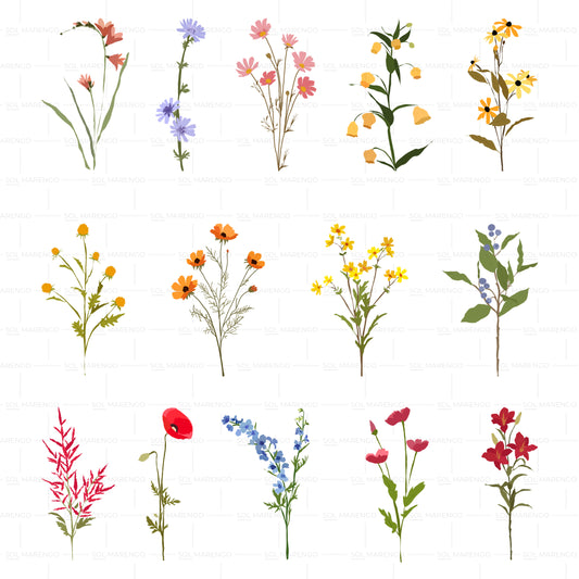 Flores silvestres | Vector, PNG & SVG