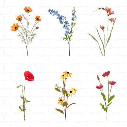 Flores silvestres | Vector, PNG & SVG