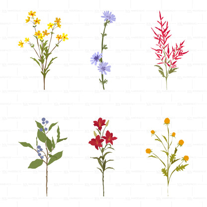 Flores silvestres | Vector, PNG & SVG