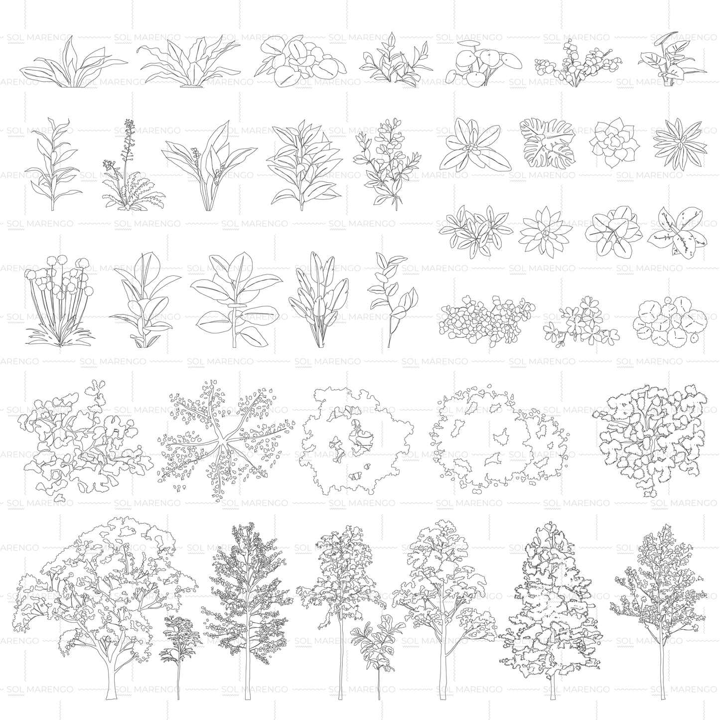 Vegetación en planta y alzado | CAD & Vector