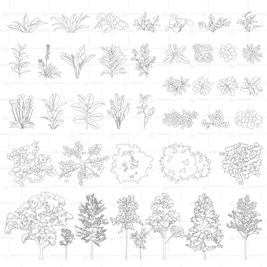 Vegetación en planta y alzado | CAD & Vector