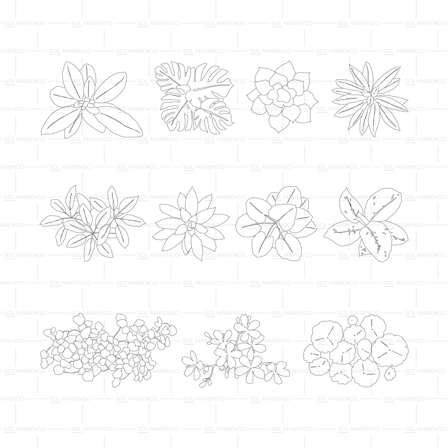 Vegetación en planta y alzado | CAD & Vector