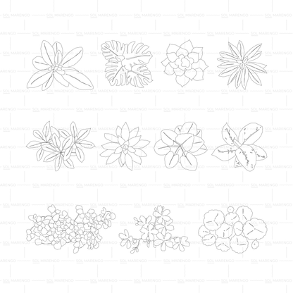 Vegetación en planta y alzado | CAD & Vector