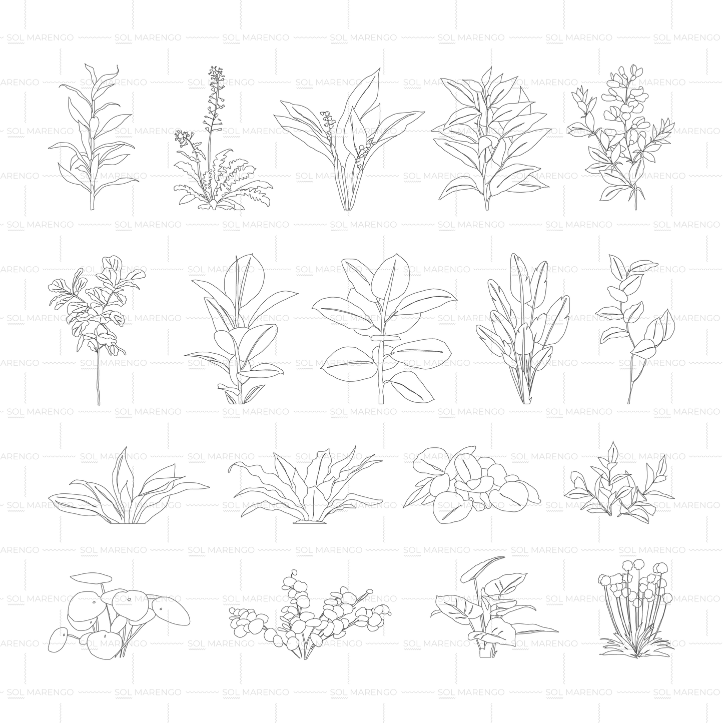 Vegetación en planta y alzado | CAD & Vector